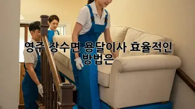 영주 장수면 용달이사, 효율적인 방법은?